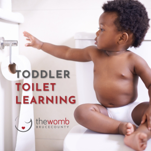 Toddler Toilet Learning