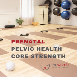 Prenatal Pelvic Health Core Strength