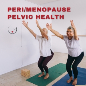 Peri/Menopause Pelvic Health Core Strength